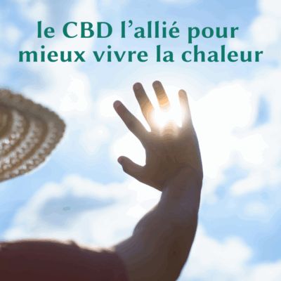 Main levée face au soleil d’été avec chapeau en paille, illustrant les bienfaits du CBD pour mieux supporter la chaleur